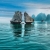 3 DAYS - 2 NIGHTS (1 NIGHT ON BOAT, 1 NIGHT IN CAT BA HOTEL)